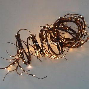 Weiche Weidenzweig-Girlande, 3,6 m, biegsamer Zweig, 160 LEDs, warmweiße Farbe, elektrischer Steckertyp mit 24-V-Adapter, 3 m Anschlusskabel1259T