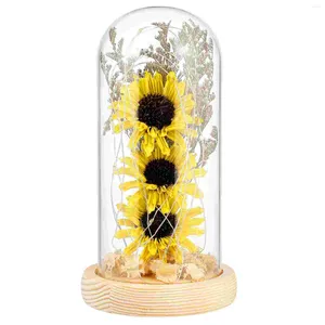 Fiori decorativi Luci di girasole essiccate Lampada a cupola in vetro Decorazione per feste al coperto Affascinante