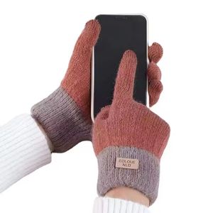 Classic Women Winter wool cashmere shell gloves Touchscreen designer Warm anti-slip touch pure Gloves for Gift pink brown