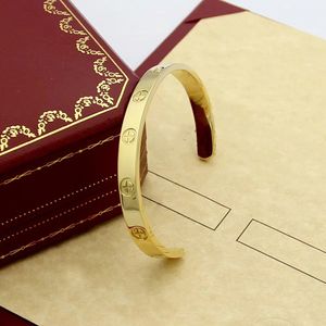 Herrenarmband Designer-Armband Herrenarmband Edelstahl vergoldetes Metall-Hartkörperarmband 4 mm und 6 mm mit Karabiner-Schraubendreher-Damenarmband