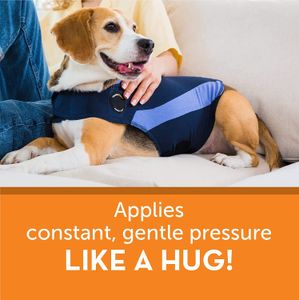 YUEXUAN Design per Cani Abbigliamento Comfort Gilet Ansia Magliette per Cani Felpe con Cappuccio Stampate Felpe con Tasche Abbigliamento per Cani dalla XXS alla XXL Cani Gatti Cappotto Abbigliamento Cucciolo, Blu Navy