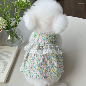 Köpek giysileri bichon kedi elbise yaz evcil hayvan etek Yorkshire kostümleri pomeranian shih tzu maltese kaniş küçük giyim xs