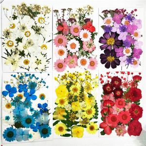 Decorative Flowers Natural Plants Real Dried Pressed Dry Flower Home Decor DIY Art Craft Manual Plant Painting Candle