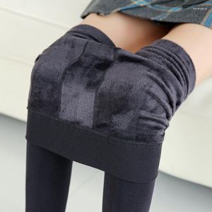 Leggings femininas We.Fine cor sólida mulheres sexy mais veludo básico grosso quente legging elástico feminino streetwear