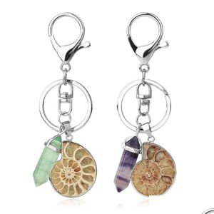 Portachiavi Portachiavi per auto Moto Gemma naturale Ammonite Conchiglia Fluorite Ciondolo Reiki Portachiavi Porta Borsa Titolare Trinket Drop Delive Dhbzu