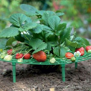 GARDEN levererar 10st Strawberry Stand Frame Holder Balkong Planting Rack Fruit Support Plant Flower Climbing Vine Pillar Trädgårdsskötsel