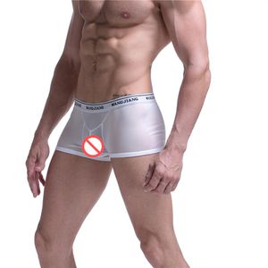 Сексуальные трусы мужские забавные дышащие сетчатые полые прозрачные шорты-боксеры гей-эротическое комфортное нижнее белье прозрачное мужское Bo2139