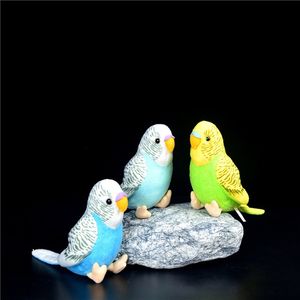 Plush Dolls Creative Parrot Bird Plush Toy Lovely Budgerigar Soft Doll Kids Toys Decoration Birthday Gift 230919
