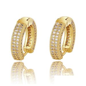 Orecchino Hip Hop Hie Fl Cz Pietra pavimentata Bling Ice Out Stud Charms Oro Sier Regalo Drop Delivery Dh9Hq