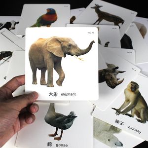 Zabawki inteligencji angielskie/chińskie zwierzęta słowa dzieci Montessori Baby Ucz się codzienne potrzeby Flashcards Edukacyjny obraz poznawczy dla dzieci 230919