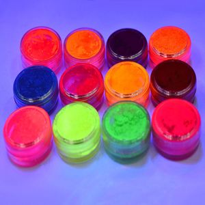 Akrylowe proszki płyny 12 Bottlesset 2in1 paznokcie akrylowy zestaw proszkowy fluorescencyjny neon pigment Luminous Professional Professional Acrylic Powder KY-5F 230919