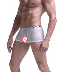 Sexiga underbyxor Herrens roliga andningsbara mesh ihåliga ser genom boxershorts gay erotisk komfort underkläder transparenta män bo257k