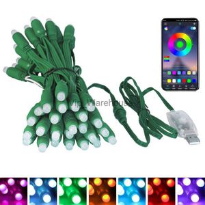 LED Strings Party 5M 50LED Smart Bluetooth Fairy String Light RGB Changeable Christmas Green Wire Twinkle Light App Control Wedding Garland Light HKD230919