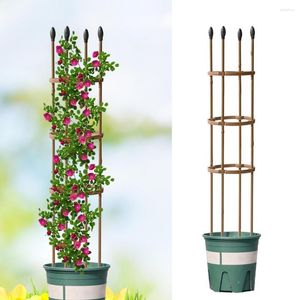 Gartenbedarf Kletterpflanze Spalier Tomaten Stützkäfige für Blumen Pflanzen Rahmen DIY Blumenreben Topfständer