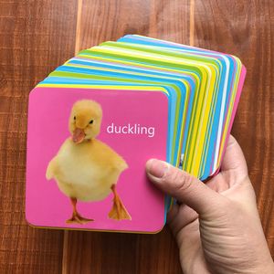 Intelligence toys 44pcs/set Baby Animal World Learning English Baby Cards Dog Cat Chicken Duck Montessori Materials Flash Cards For Children 230919