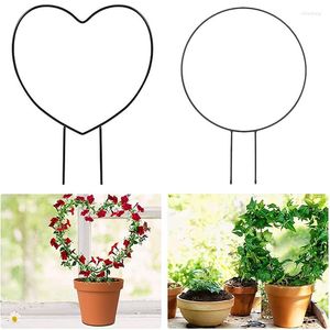 Suprimentos de jardim metal planta treliça suporte fio decorativo plantas escalada titular rack para vasos flores interior hr