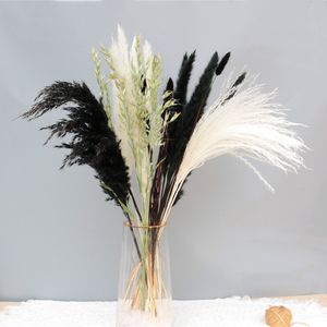 Decorações de Natal Fluffy Natural Pampas Grass Reed Bouquet Hay para Casamento Festa de Aniversário Decoração Bohemian Country Living Room Decora 230919