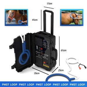 Portable Pemf Magnetic Therapy Device Pmst Loop Horse Magnetic Therapy Pemf Machine