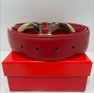 Designer Mens Belt cinture da uomo con fibbia grande Castità maschile in stile italiano Ferr top Fashion