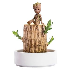 Decorações de Natal Brasil Madeira Hidropônica Vaso Planta Interior Sorte Escritório Desktop Verde Decoração de Casa Fada Jardim 230919