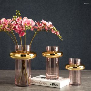 Vasos minimalista vaso de vidro criativo decoração de casa ins estilo garrafa de flor hidropônica elegante bonito