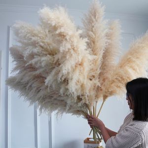 Christmas Decorations Wholesale Boho Wedding Decor 80cm Large Plume Dry Fluffy Pampas Grass Natural Real Preserved Flower Fleur Sechees Mariage 230919