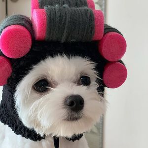 犬のアパレルインスアクセサリー巻き毛パーマーヘアカットスタイリングデスカーペットヘッドカバー猫の帽子小犬230919に適した帽子