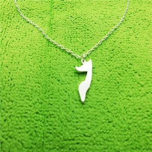 Afrikansk landskarta Somalia Pendant Chain Necklace Charm Pendant Outline Pride Soomaaliya Island Halsband för souvenir Gift Jewel300Z