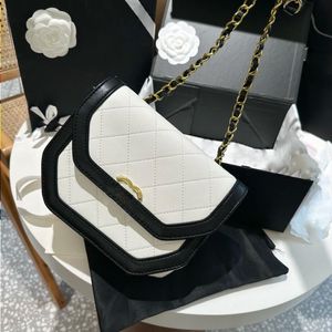 Chanei Designer Corss Body Bag Axel Bag designer Crossbody Bag Womens Purses and Handbags Lady Clutch Bag Fashion Chain Bags Black CQul