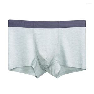 Cuecas 3 presente boxer verão roupa interior masculina atacado modal calças de algodão antibacteriano sem costura boxer shorts com cabeça respirável