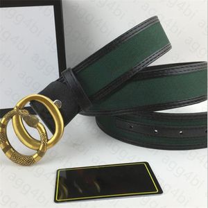 Designer Mens Belt Fashion Belts män läder svart affärsbälte kvinnor stora guld spänne kvinnor klassisk casual bälte