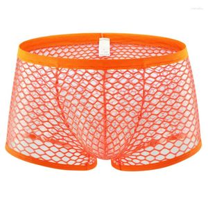 Underpants Mens Boxers Transparent Low Waist Hole Stretch Mesh Underwear Breathable Solid Panties Shorts Boxershorts Men