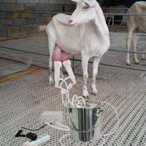 Andra husdjurstillbehör 3714L Pulse Sheepcow get Mjölkningsmaskin Automatisk stopp Rostfritt stål Milke Bucket Vakuumpump Elektrisk utrustning 230920