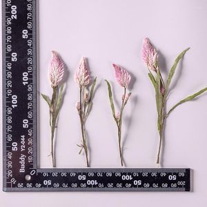 Decorative Flowers 120pcs Pressed Dried Flower Celosia Argentea L Plants Herbarium For Makeup Jewelry Postcard Invitation Card Phone Case