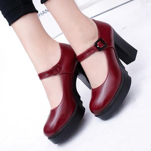 Dress Shoes Spring And Summer Female Classic Pump Black Leather Mary Jane Heels Fashion Platform Buckle Word Deduction Woman