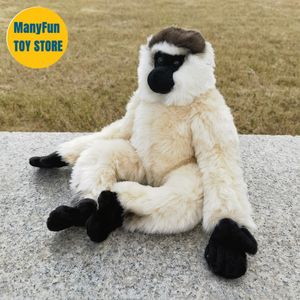 Peluş Bebekler Beyaz Gibbon Maymun Peluş Sifaka Peluş Oyuncaklar Yaşam Gibi Hayvanlar Simülasyon Doldurulmuş Bebek Kawai Oyuncak Hediyeleri 230921