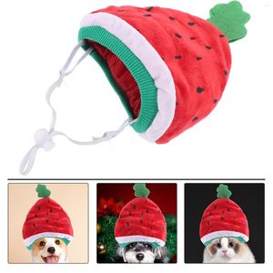 Kedi Kostümleri Köpek Aksesuarları Karikatür Pet Hat Karnaval Kapağı Hassas Meakear Headgear Ev Köpek Peluş Sevimli Arz