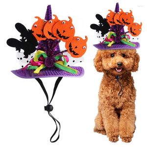 Costumi per gatti Costume per animali domestici di Halloween Cappello per cani e gatti Accessori morbidi con motivo a zucca pipistrello