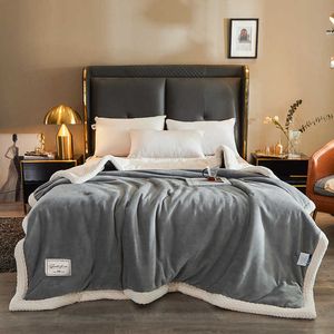 Blanket Thick Winter Blanket Very Warm Fleece Duvet Luxury Bed Cover Home Fluffy Throw Sofa Cover Double Bedspread on the bed HKD230922