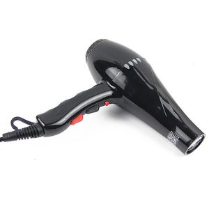 Ds Dryers AC Motor Blow Real Power 2200W Professional Hair Dryer and Cold Wind Hairdryer Styling Tools for Salon Equipment32nq