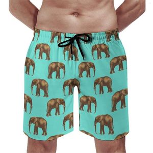 Pantaloncini da uomo Simpatico elefante Board Stampa animalier vintage Retro Beach Men Pattern Surf Costume da bagno ad asciugatura rapida Regalo di compleanno