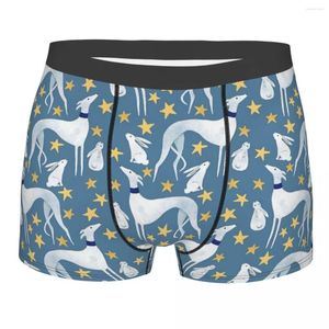 Underpants Engraçado Boxer Shorts Calcinhas Homens Galgo Hare e Estrelas Underwear Greyhound Whippet Dog Mid Cintura para Homme