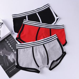 Cuecas masculinas cuecas boxers shorts sexy meninos calcinha respirável alta estiramento suor-absorvente masculino boxer cuecas masculinas