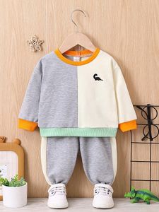 Kläder sätter höst- och vinterlång ärmbyxor broderi liten dinosaurie hoodie set för pojkar flickor fritidssporter färg con 230923