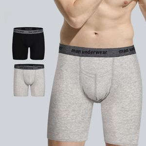 Cuecas masculinas perna longa esporte roupa interior moda mid-rise algodão boxer briefs shorts bolsa macia bulge masculino calcinha respirável