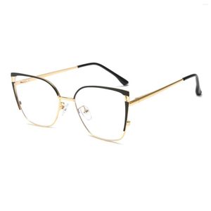 Sonnenbrille Anti-Blaulicht-Brille für Damen und Herren, Metallrahmen, klare Linse, Augenschutz, ausgehendes Fahren, Camping