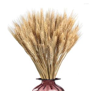 Decorative Flowers Dried With Stems Artificial Golden Wheat Bouquet 100pc Natural For Fall DIY Arrangement Wedding Party