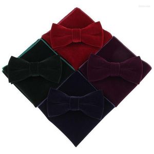 Bow Ties Sitonjwly Mens Velvet Bowtie näsdukuppsättning för män bankett affärer slipsar