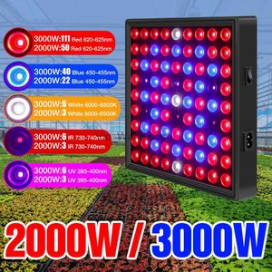 Grow Light LED PHYTO BULB 220V PLANT LAMP GROW LIGHT 2000W 3000W Hydroponic Lighting Seeds Planting Fitolamp US EU UK GrowthTentbox YQ230926