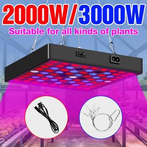 Luzes de cultivo Phyto Lamp 220V LED Plant Grow Light Full Spectrum Lamp para planta 2000W 3000W Fitolampy Indoor Hydroponic Lighting US EU UK Plug YQ230926